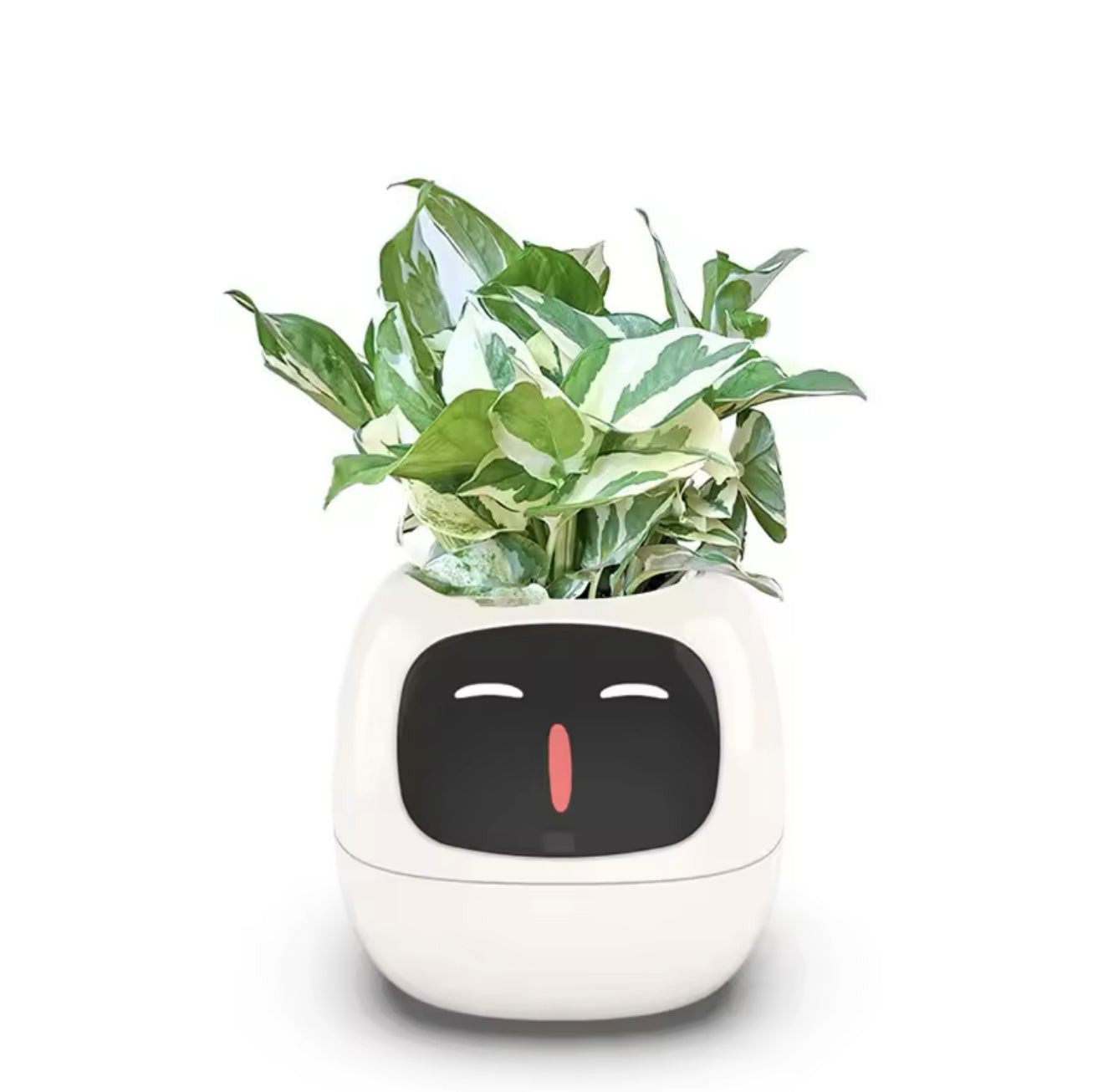 IVY Smart Life Planter