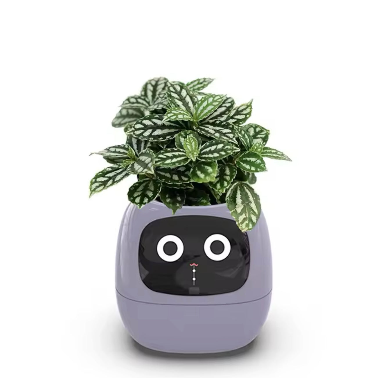 IVY Smart Life Planter