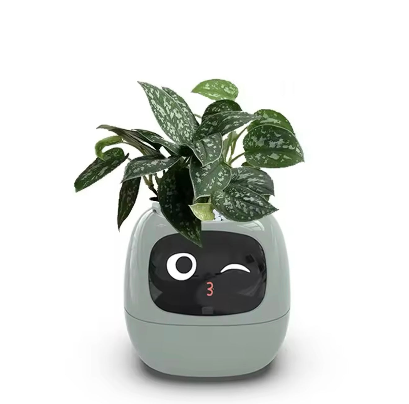 IVY Smart Life Planter