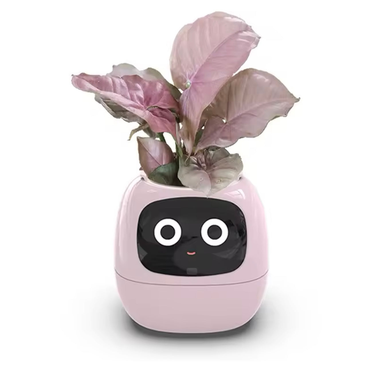 IVY Smart Life Planter