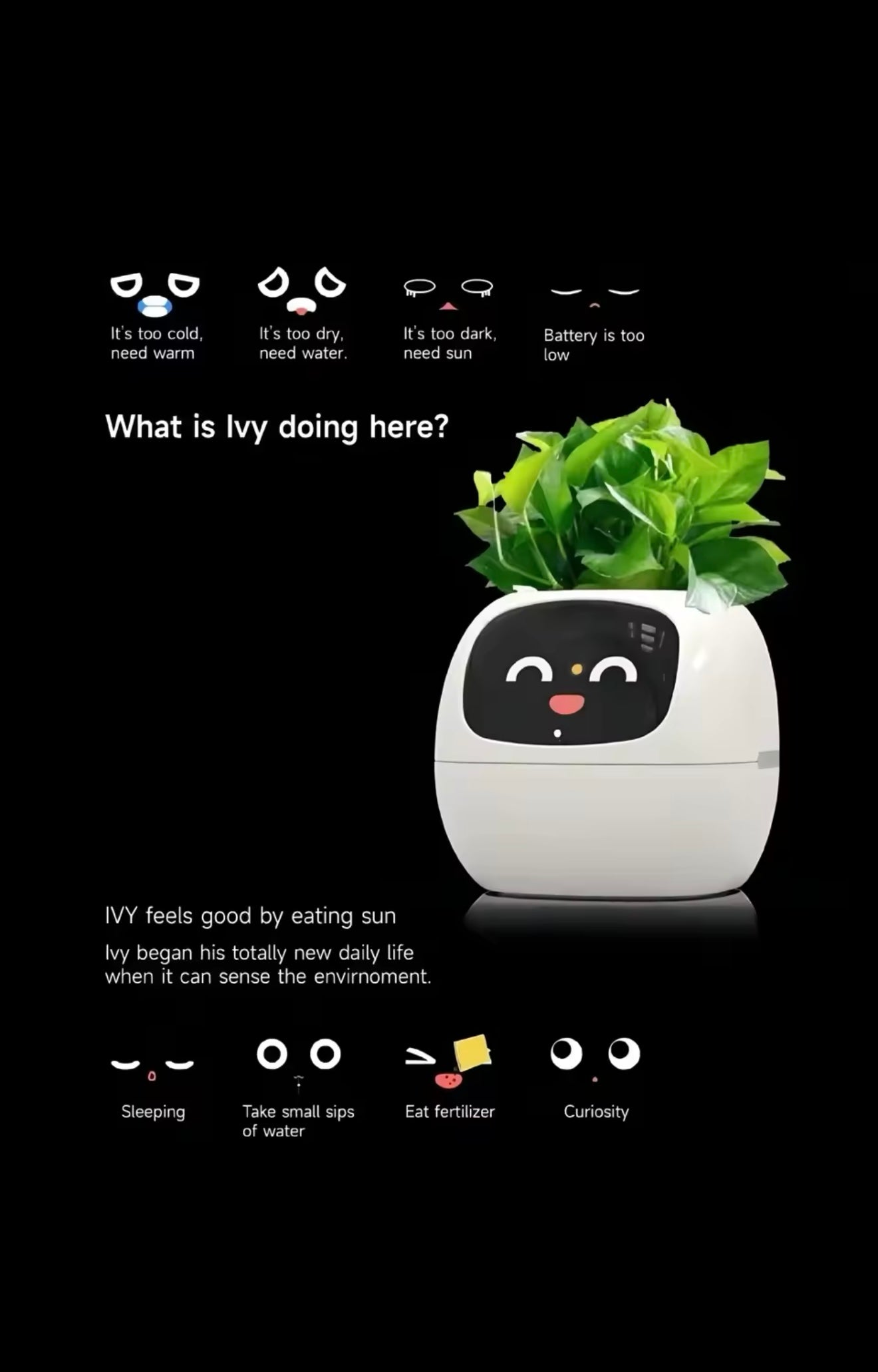IVY Smart Life Planter