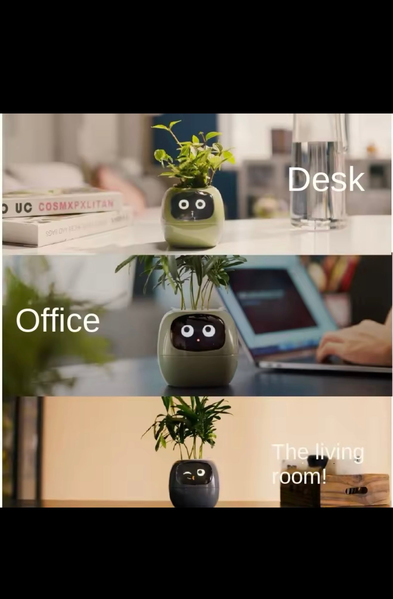 IVY Smart Life Planter