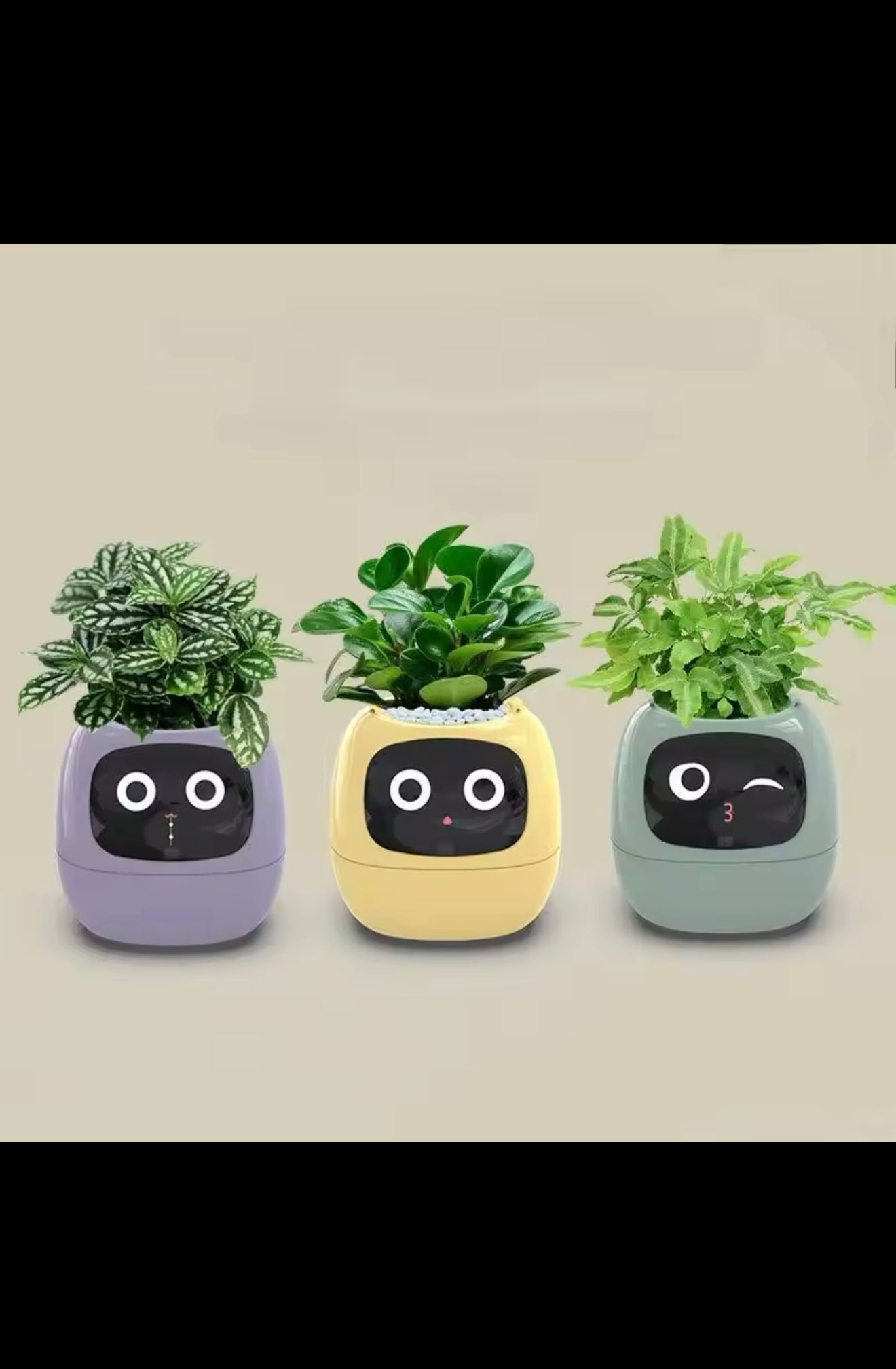 IVY Smart Life Planter