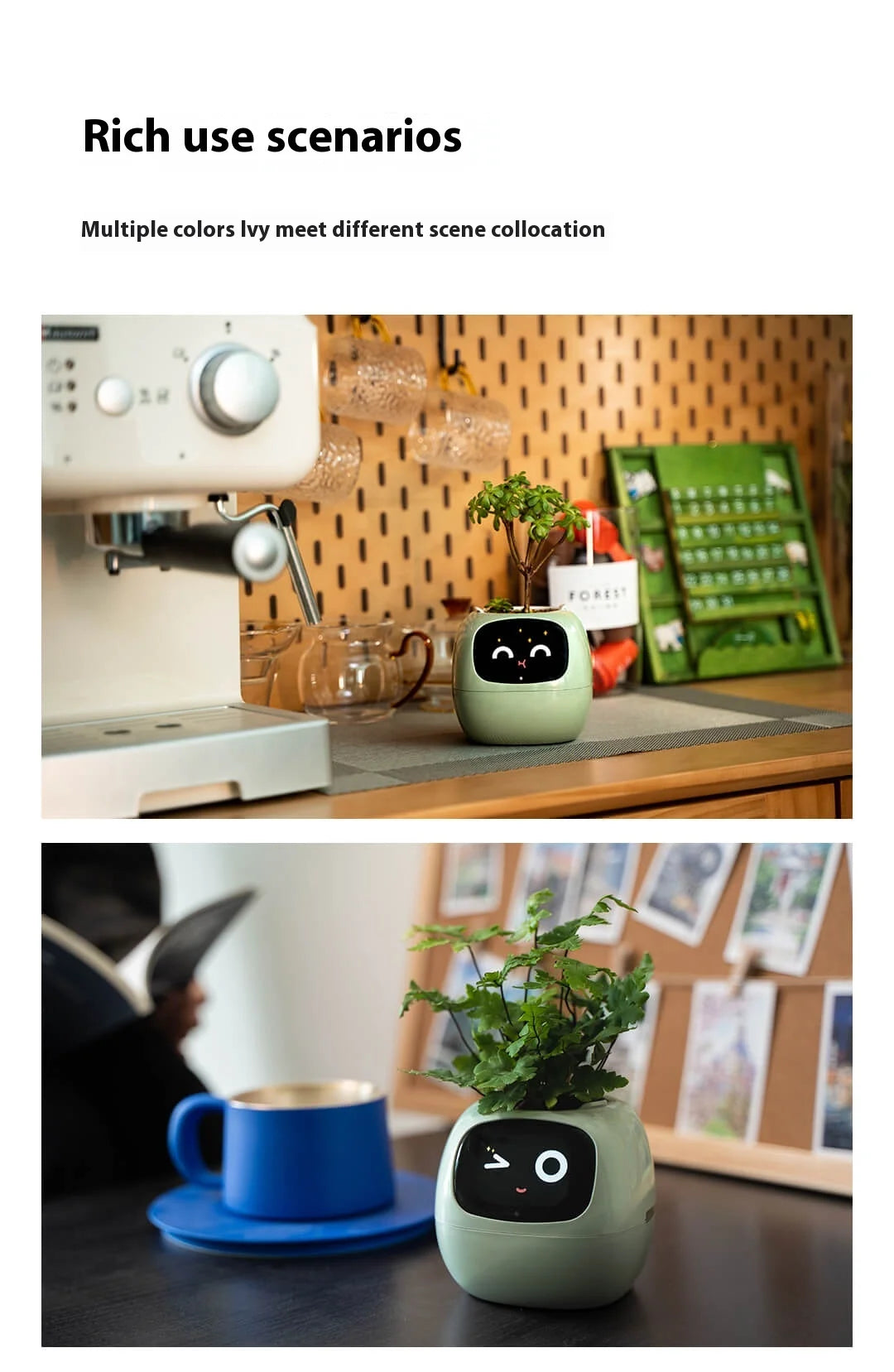 IVY Smart Life Planter